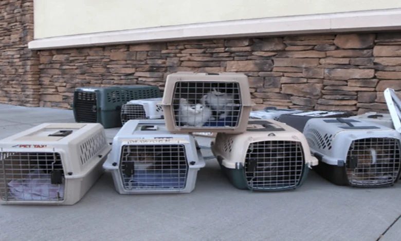 What is the best carrying bag for your pets?