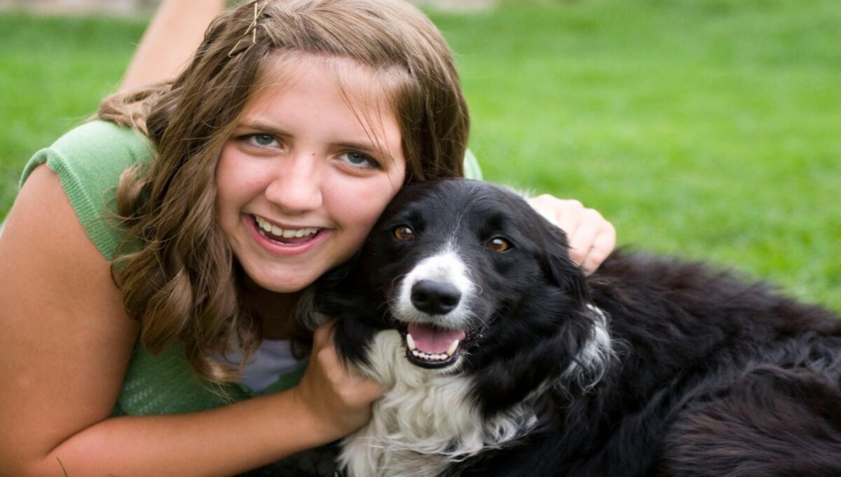 How can you show love to a dog?