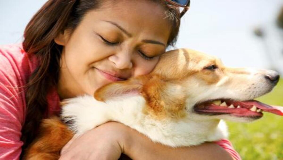 How do you gain a dog's trust?