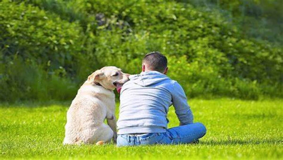 The human health benefits of having dogs as companions